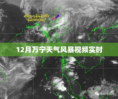 萬(wàn)寧風(fēng)暴來(lái)襲，最新天氣實(shí)時(shí)視頻