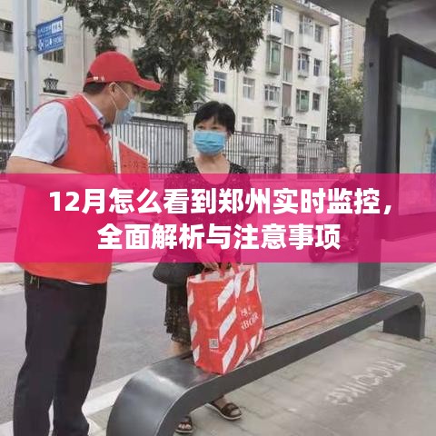 鄭州實(shí)時監(jiān)控解析，如何查看與注意事項(xiàng)（十二月版）