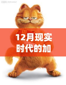 現(xiàn)實版加菲貓圖片集，溫馨可愛瞬間捕捉