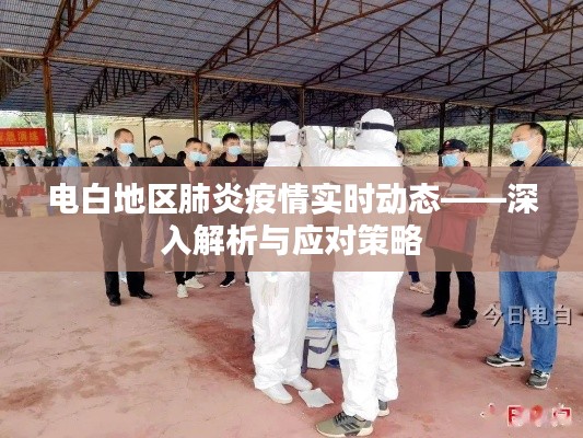 電白地區(qū)肺炎疫情最新動態(tài)，解析與應(yīng)對策略
