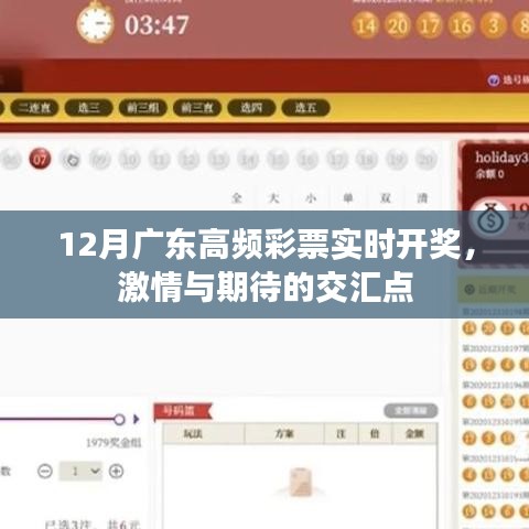 廣東高頻彩票12月實時開獎，激情碰撞期待時刻