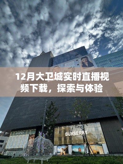 大衛(wèi)城12月實時直播視頻下載，探索與體驗之旅