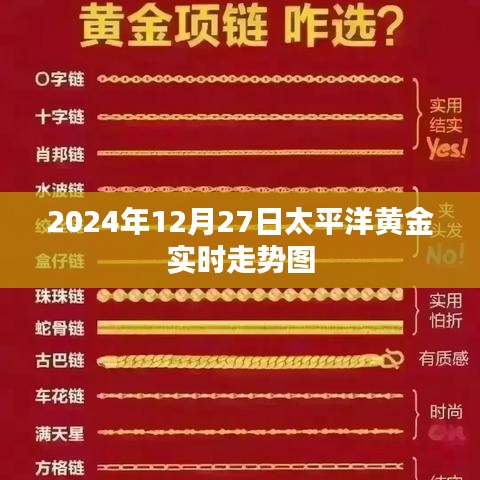 2024年12月27日太平洋黃金行情走勢(shì)分析