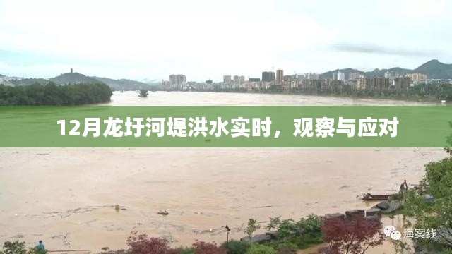 犯而不校 第4頁