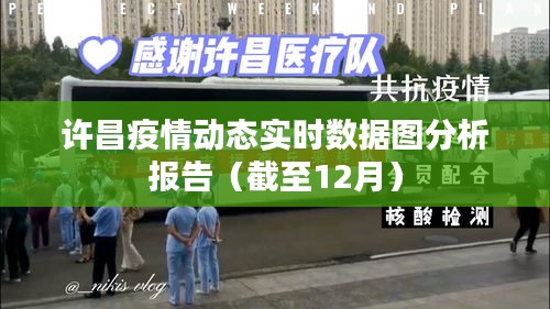 許昌疫情實時數(shù)據(jù)圖分析報告（截至12月最新動態(tài)）