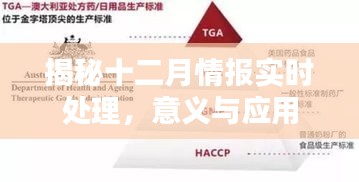 揭秘十二月情報(bào)實(shí)時(shí)處理應(yīng)用及其重要性