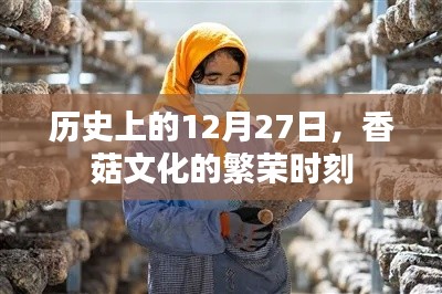 香菇文化繁榮時(shí)刻，歷史12月27日回顧