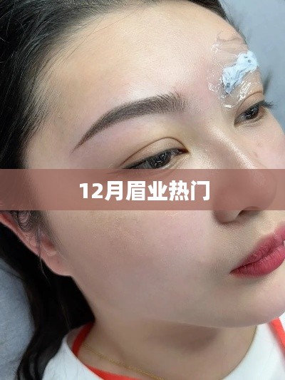 12月眉業(yè)熱點大盤點