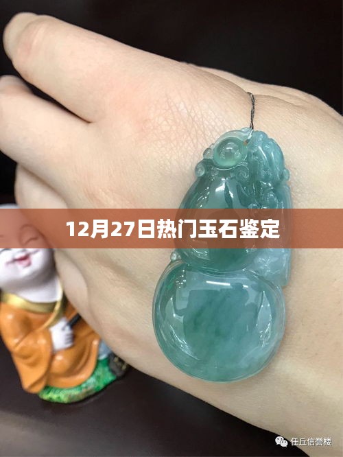 玉石鑒定熱點(diǎn)解析，12月27日最新資訊