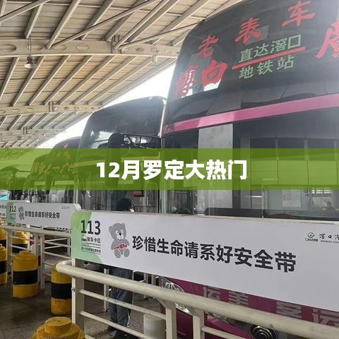 羅定熱點新聞，揭秘十二月大熱門事件