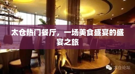 太倉(cāng)美食盛宴，熱門(mén)餐廳探秘之旅