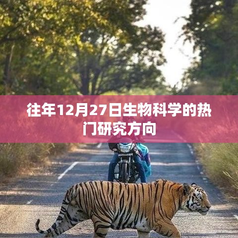 生物科學熱門研究方向揭秘，歷年12月27日焦點解析