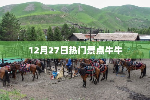 12月27日熱門景點探訪，牛牛之旅