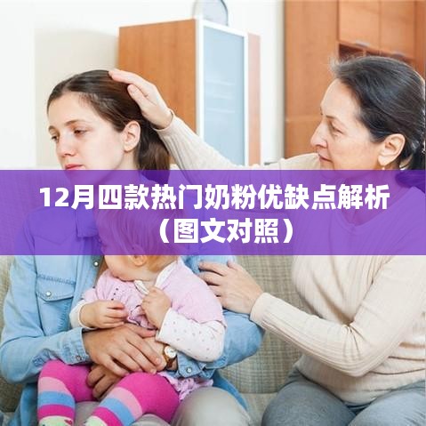 綱挈目張 第4頁(yè)