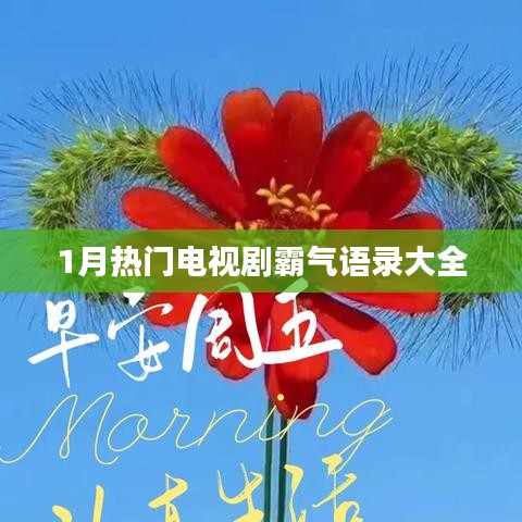 一月熱播劇霸氣臺(tái)詞盤點(diǎn)