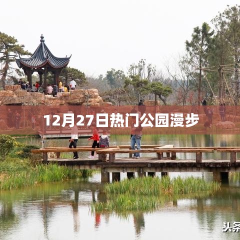 12月27日公園漫步，盡享自然之美