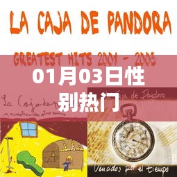 性別話題熱議，最新動態(tài)一網(wǎng)打盡（01月03日）