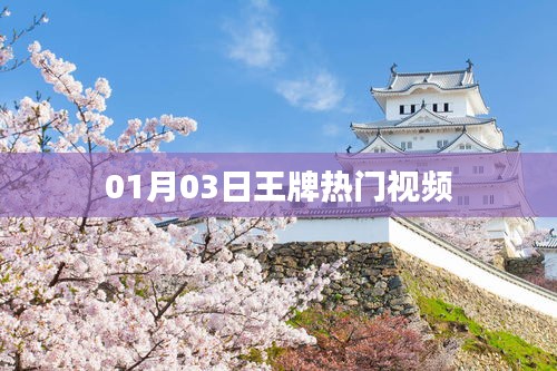 王牌熱門視頻盤點，最新熱門視頻精選