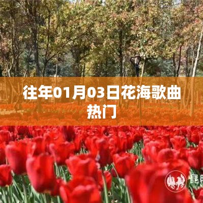 『花海歌曲熱爆，歷年一月初最受歡迎的旋律』