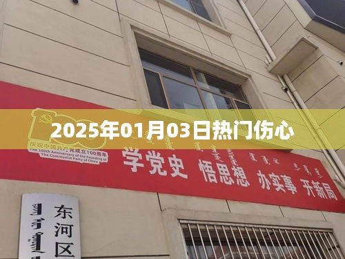 『2025年1月3日，那些令人心碎的瞬間』