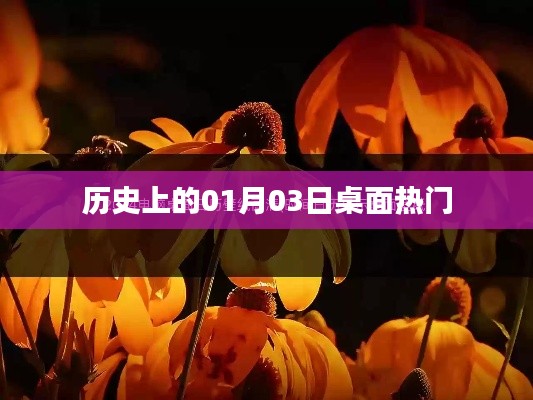 衣不重采 第4頁