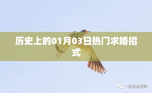 歷史上的求婚秘籍，一月三日求婚攻略