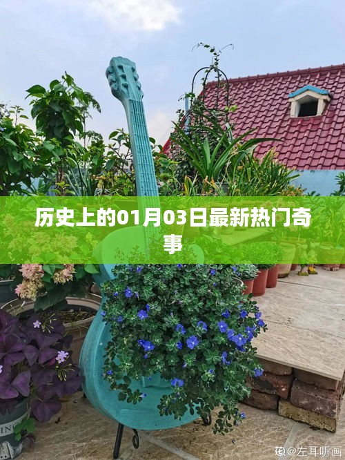 歷史奇聞揭秘，一月三日最新熱門(mén)事件回顧