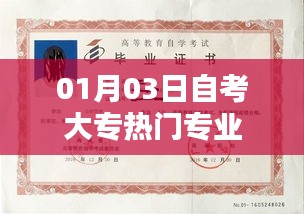 自考大專熱門專業(yè)解析（最新）
