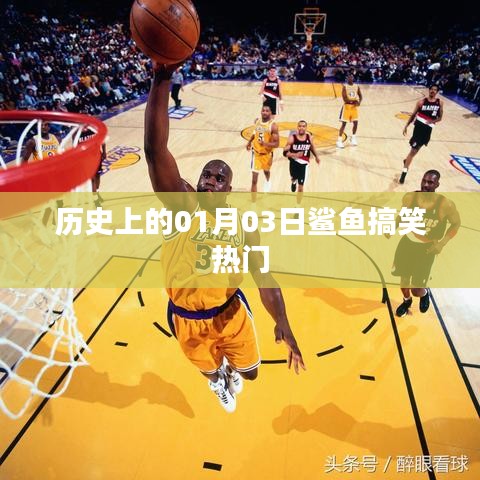 歷史上的鯊魚搞笑瞬間，一月三日歡樂(lè)回顧