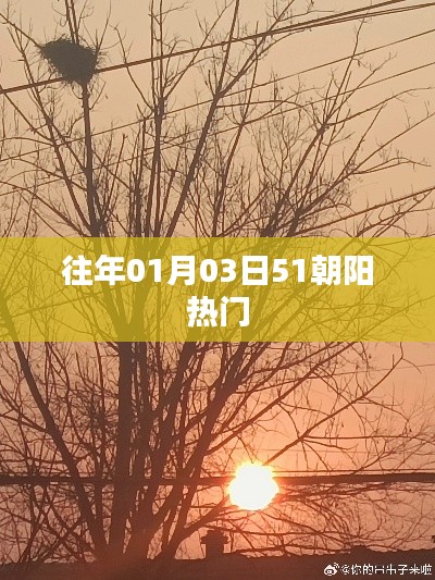 朝陽(yáng)地區(qū)歷年元旦后熱門(mén)事件回顧