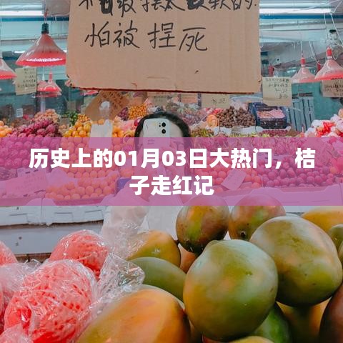 歷史大熱門，桔子走紅記，揭秘背后的故事