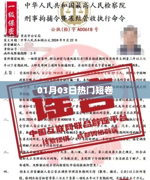 熱門短卷大揭秘，01月03日最新流行趨勢
