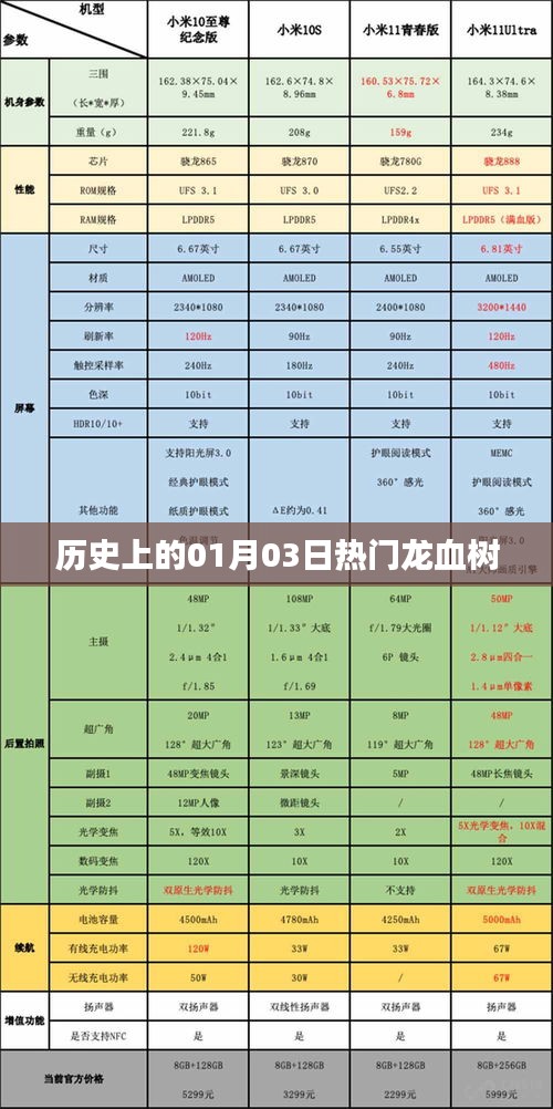 龍血樹(shù)的歷史變遷，一月三日的重要時(shí)刻回顧