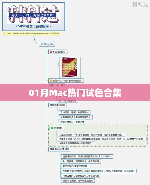 「獨(dú)家盤點(diǎn)」Mac熱門試色合集，一月精選不容錯(cuò)過