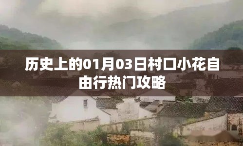 村口小花自由行，一月三日熱門攻略回顧
