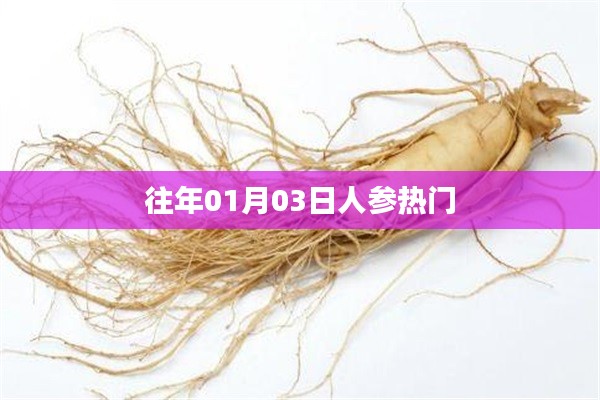 人參熱門事件回顧，歷年一月初三矚目時刻