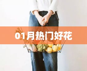 精選一月份熱門花卉推薦