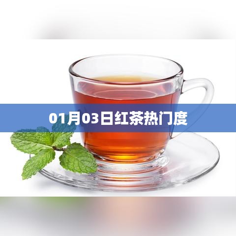 紅茶熱門度揭秘，最新趨勢分析（日期，01月03日）