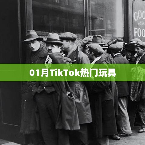 TikTok熱門玩具大盤點(diǎn)（一月精選）