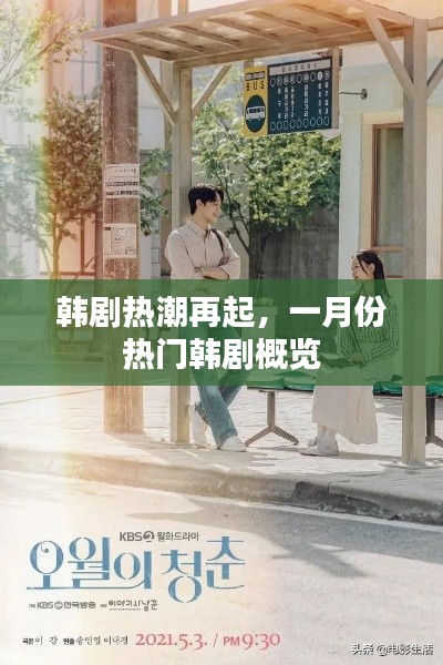 一月份韓劇熱潮回顧，熱門劇集概覽