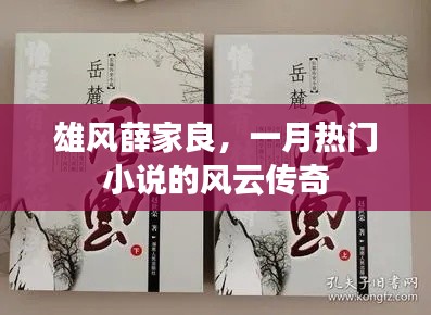雄風(fēng)薛家良，風(fēng)云傳奇小說(shuō)火爆一月