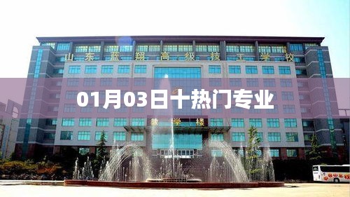 最新熱門專業(yè)榜單TOP10，01月03日更新