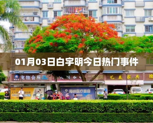 白宇明最新熱門事件曝光，關(guān)注細(xì)節(jié)解析