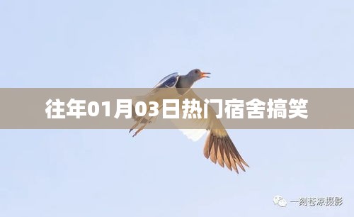 宿舍歡樂瞬間，歷年一月三日爆笑回顧