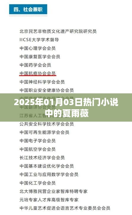 夏雨薇，2025年超人氣小說主角，魅力非凡