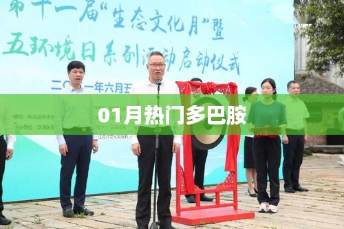 熱門多巴胺，揭秘一月新動(dòng)向