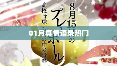 精選真情語錄，一月溫暖話語