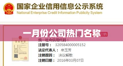 一月份公司熱門名稱盤點