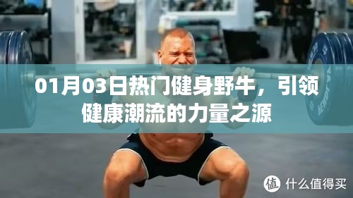 熱門健身野牛，引領(lǐng)健康潮流的力量之源