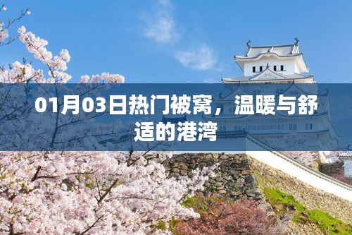 熱門(mén)被窩，冬日溫暖的港灣